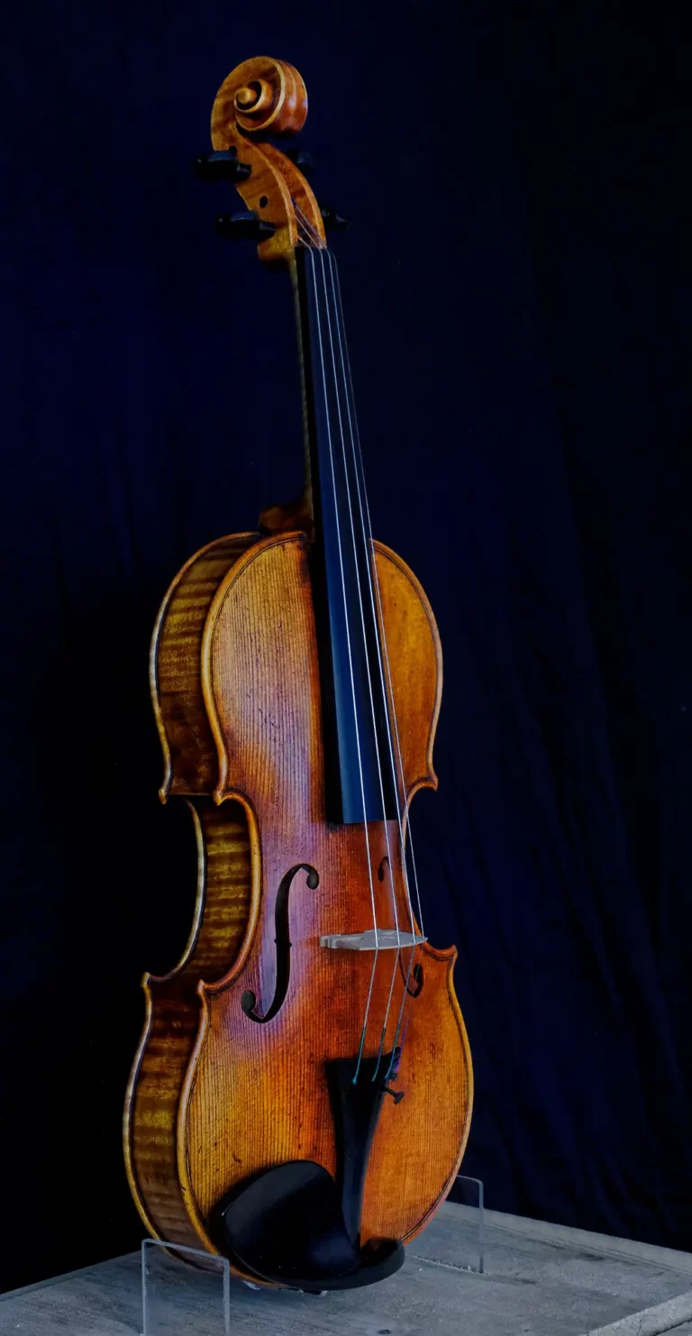 Vue 3/4 face violon modèle personnel Mylène Lassalle